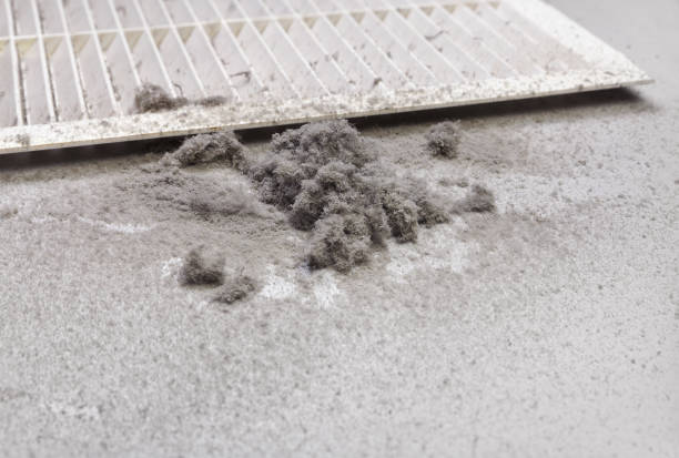 Best Emergency Air Duct Cleaning  in Mingo Junction, OH