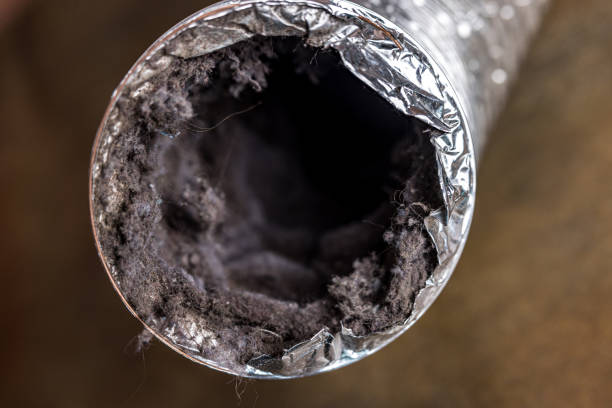 Best Air Duct Inspection  in Mingo Junction, OH